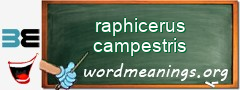 WordMeaning blackboard for raphicerus campestris